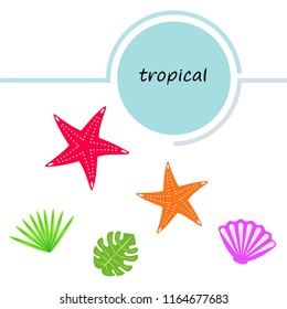 starfish shell tropical plant vector background