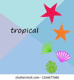 starfish shell tropical plant vector background