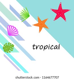 starfish shell tropical plant vector background
