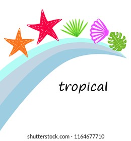 starfish shell tropical plant vector background