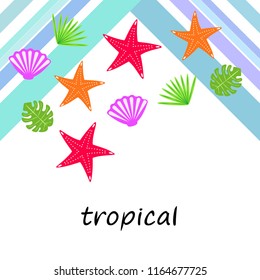 starfish shell tropical plant vector background