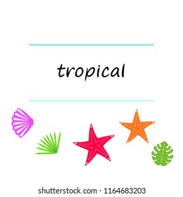 starfish shell tropical plant vector background