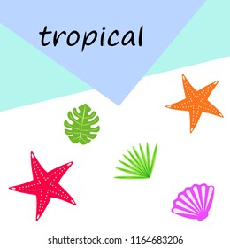 starfish shell tropical plant vector background