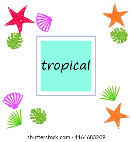 starfish shell tropical plant vector background