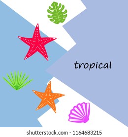 starfish shell tropical plant vector background
