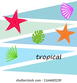 starfish shell tropical plant vector background