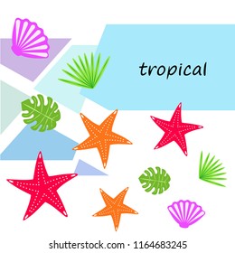 starfish shell tropical plant vector background