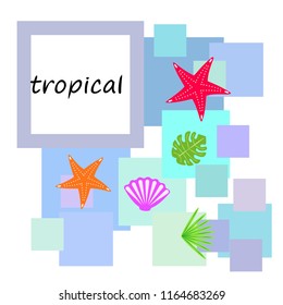 starfish shell tropical plant vector background