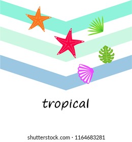starfish shell tropical plant vector background