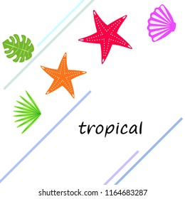 starfish shell tropical plant vector background