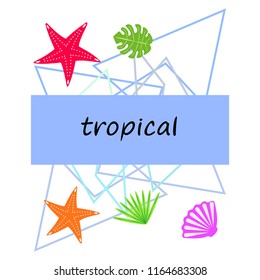 starfish shell tropical plant vector background