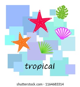 starfish shell tropical plant vector background