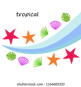starfish shell tropical plant vector background
