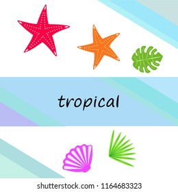 starfish shell tropical plant vector background