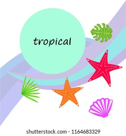 starfish shell tropical plant vector background starfish shell tropical plant vector background