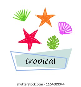 starfish shell tropical plant vector background