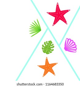 starfish shell tropical plant vector background