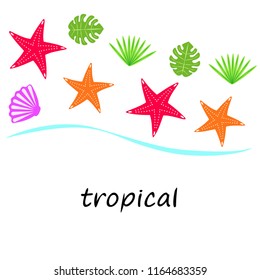 starfish shell tropical plant vector background