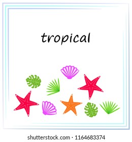 starfish shell tropical plant vector background