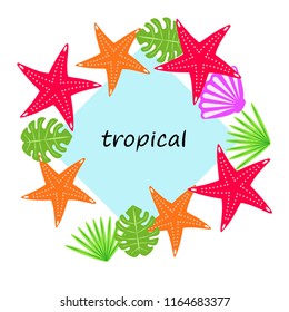 starfish shell tropical plant vector background