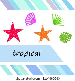 starfish shell tropical plant vector background