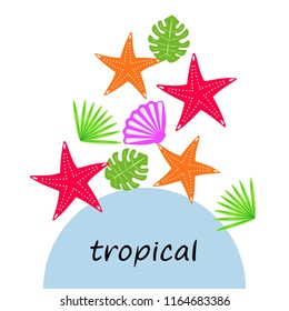 starfish shell tropical plant vector background