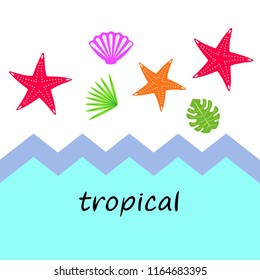 starfish shell tropical plant vector background