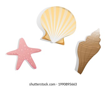 Starfish and shellfish on a white background