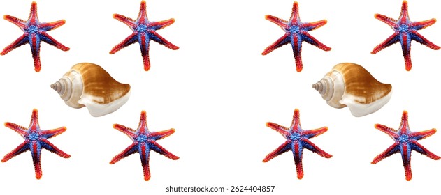 starfish and shellfish in the sea