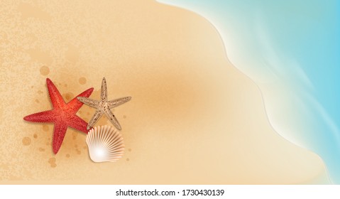 Starfish and shellfish,summer sale promotion element shopping,summer promo,holidays on the beach,web banner template background vector 3D style