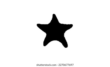 Starfish silhouette, high quality vector