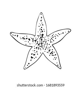 Starfish in a simple style, isolated vector on white background. Single element with a black outline and dots texture, stylized as a hand ink drawing. Can be used as icon and for natural design.