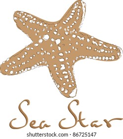 Starfish sketch cartoon vector illustration