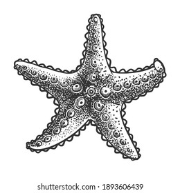 starfish sketch engraving vector illustration. T-shirt apparel print design. Scratch board imitation. Black and white hand drawn image.