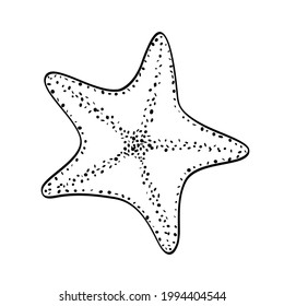 Starfish sketch isolated on white background. Black outline, dots texture, hand drawn doodle style. Vector icon, illustration of sea life, ocean floor, animal, nature, travel and undersea design.