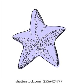 Starfish in sketch style. Vector sea animal in blue color. Echinoderm. Hand drawn illustration isolated on white background.