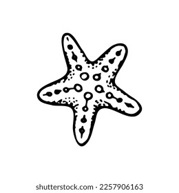 Starfish sketch. Summer beach vacation. Hand drawn vector line art illustration.