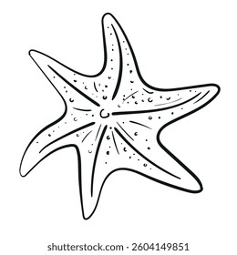 Starfish sketch vector illustration. Black and white outline Starfish Coloring page for kids and adults. Vector illustration. Relaxation page