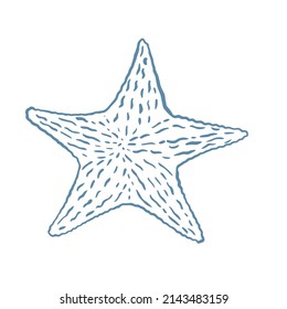 Starfish sketch vector illustration. Single oceanic inhabitant isolated object. Mollusk hand engraving