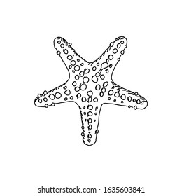 Starfish - Sketch Vector Ink