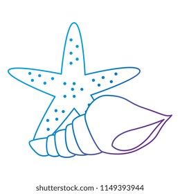 starfish with snail shell