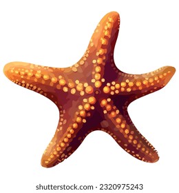Starfish spiral in underwater beauty isolated