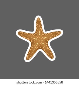 Starfish sticker for isolated decor