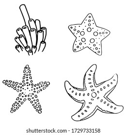 Starfish sticker set on white isolated backdrop. Sea creatures for invitation or gift card, pet shop logo, diving club, bath tile. Phone case or cloth print art. Doodle style stock vector illustration