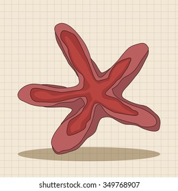 Starfish theme elements vector,eps