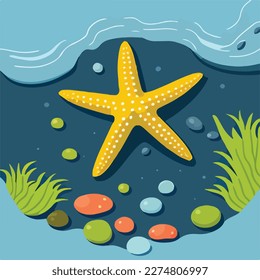 Starfish in tide pool. Underwater fish and sea creatures in natural habitat. Flat vector illustration concept