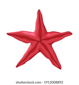 Starfish as Travel and Tourism Attribute Vector Illustration