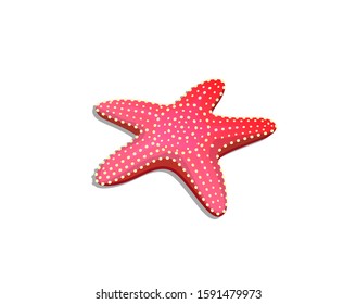 Starfish underwater ocean reef creature graphic cartoon. Ocean isolated invertebrate wildlife sea star hand drawn detailed illustration for kids.