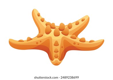 Starfish vector cartoon illustration isolated on white background