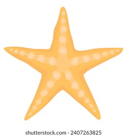 starfish vector.  cartoon illustration of marine animals